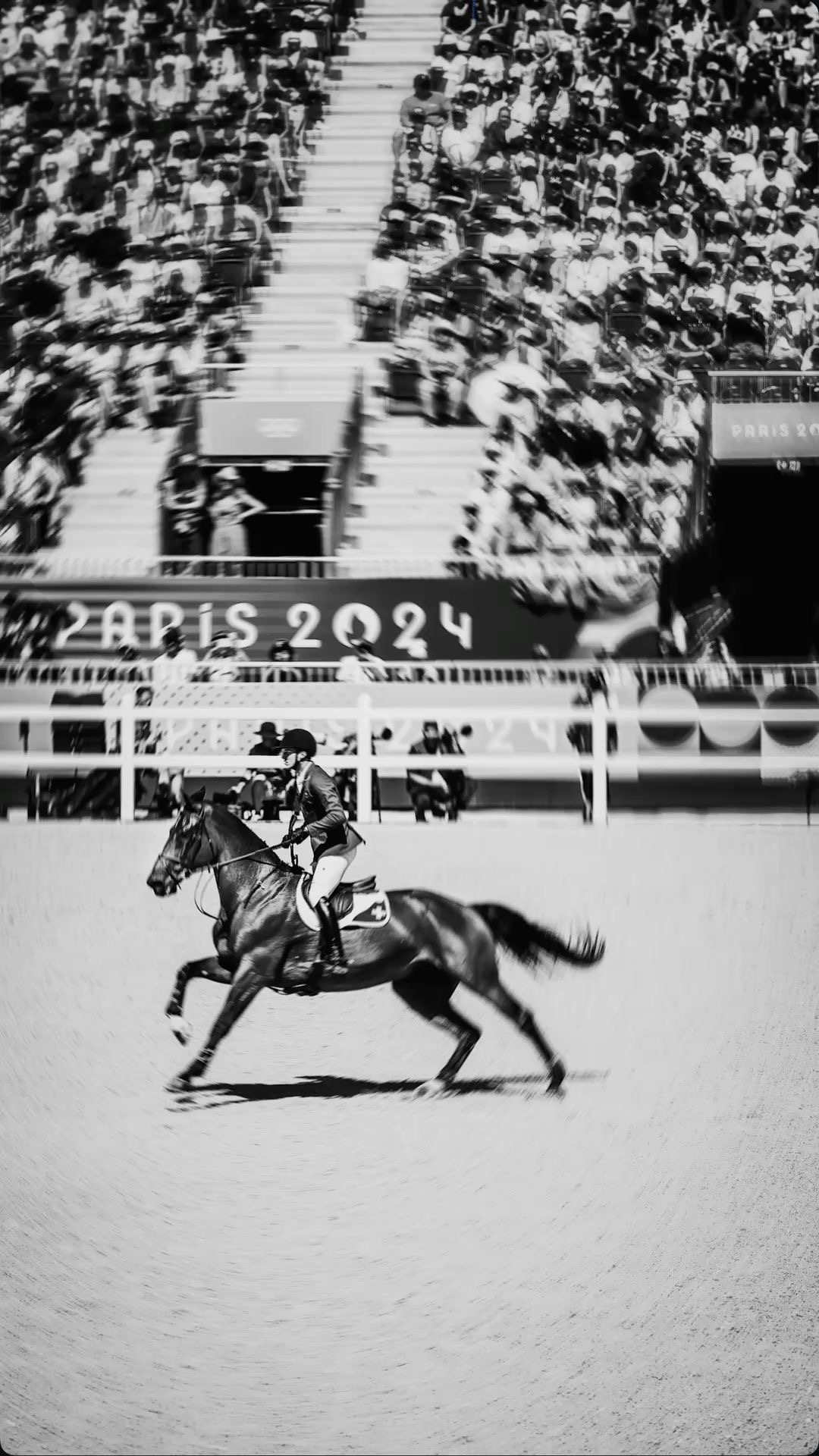 Equestrian Performance
