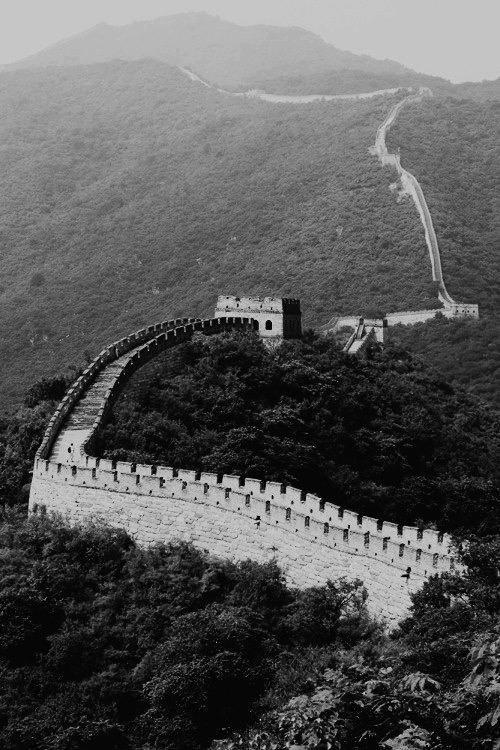 A black and white photograph of the Great Wall of China curving along a forested ridge, a watchtower at the crest, the wall running on across the hills behind it until it disappears into mist.