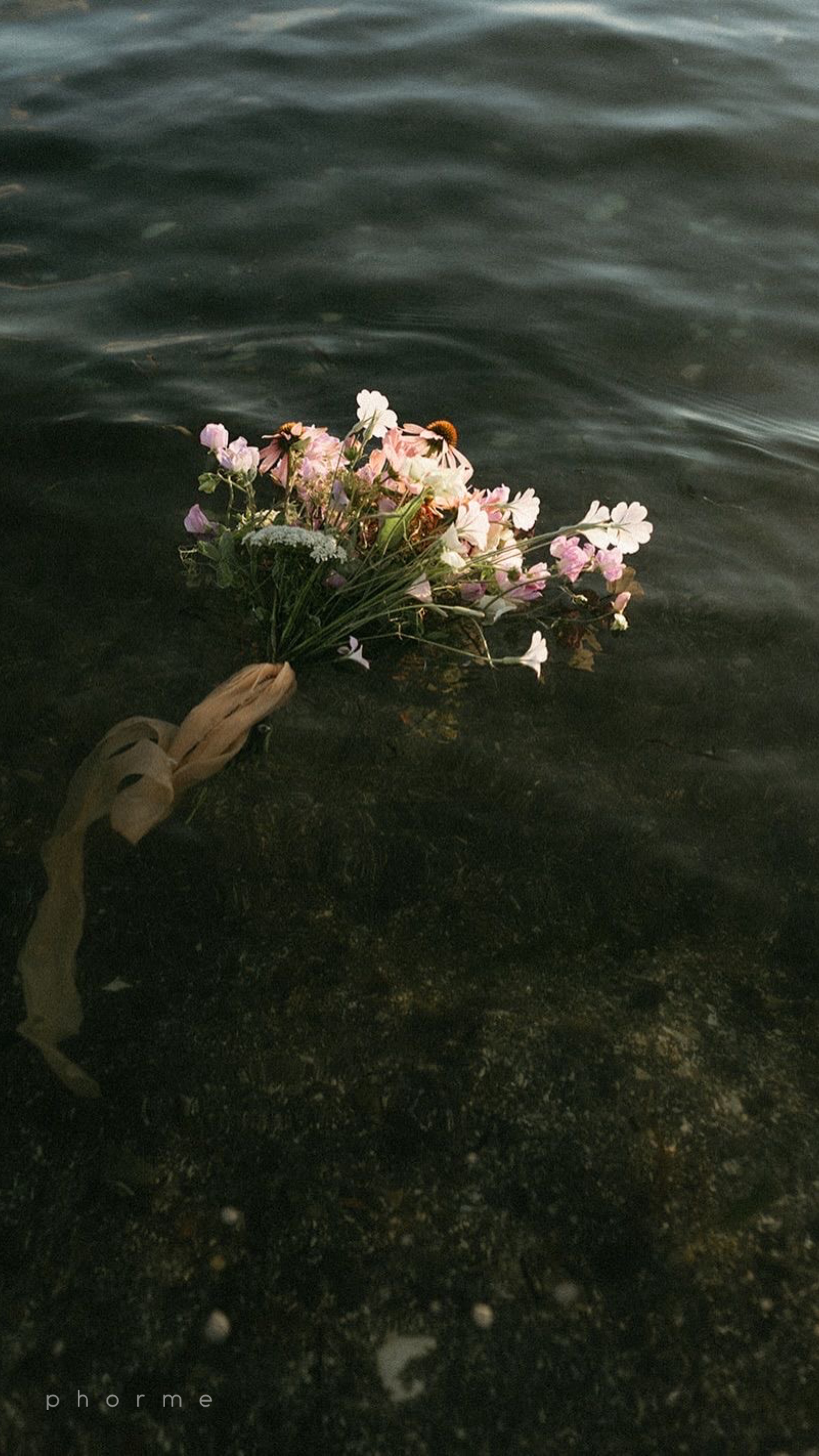 recomp lower glutes & hamstrings