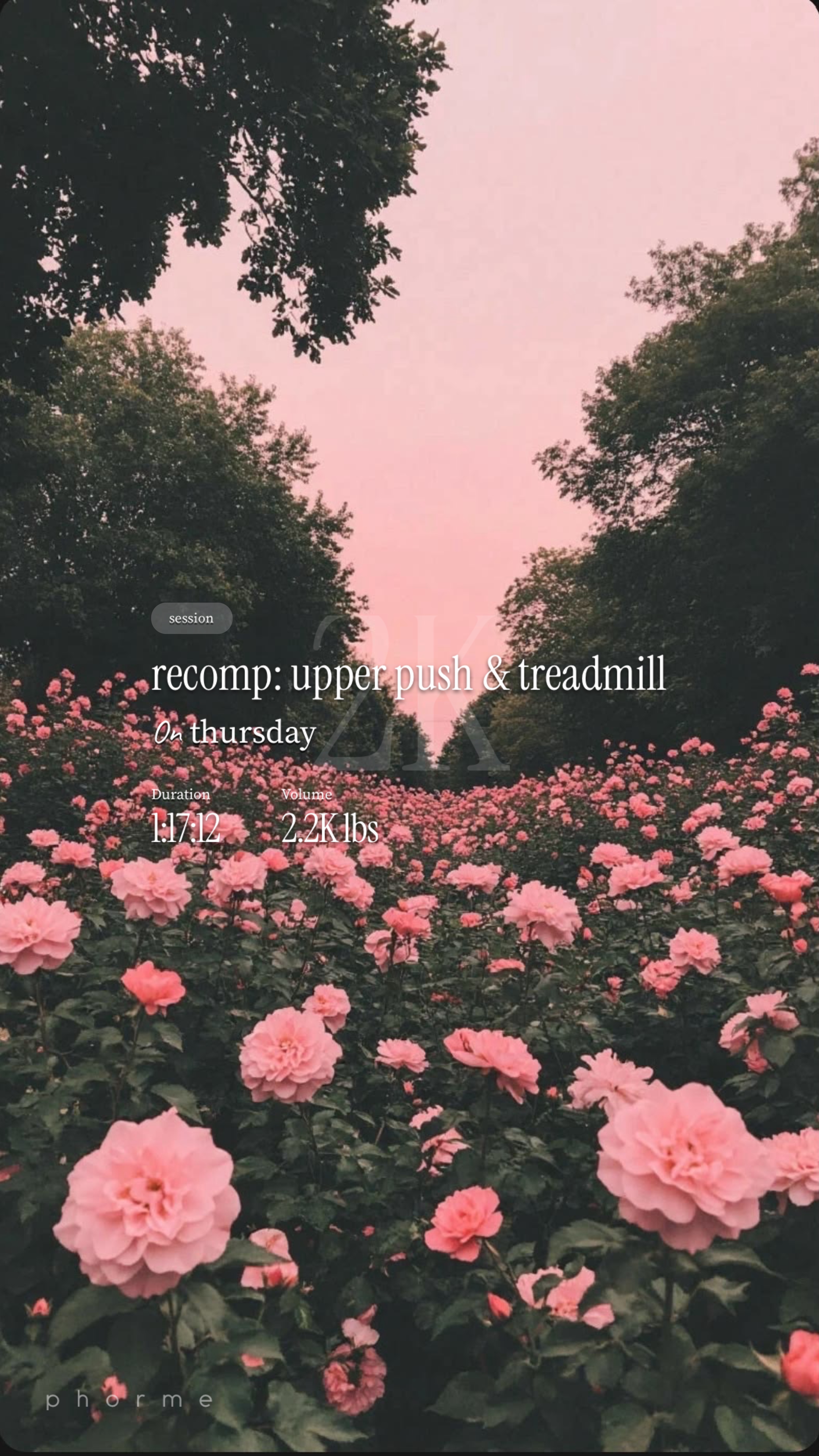 recomp: upper push & treadmill