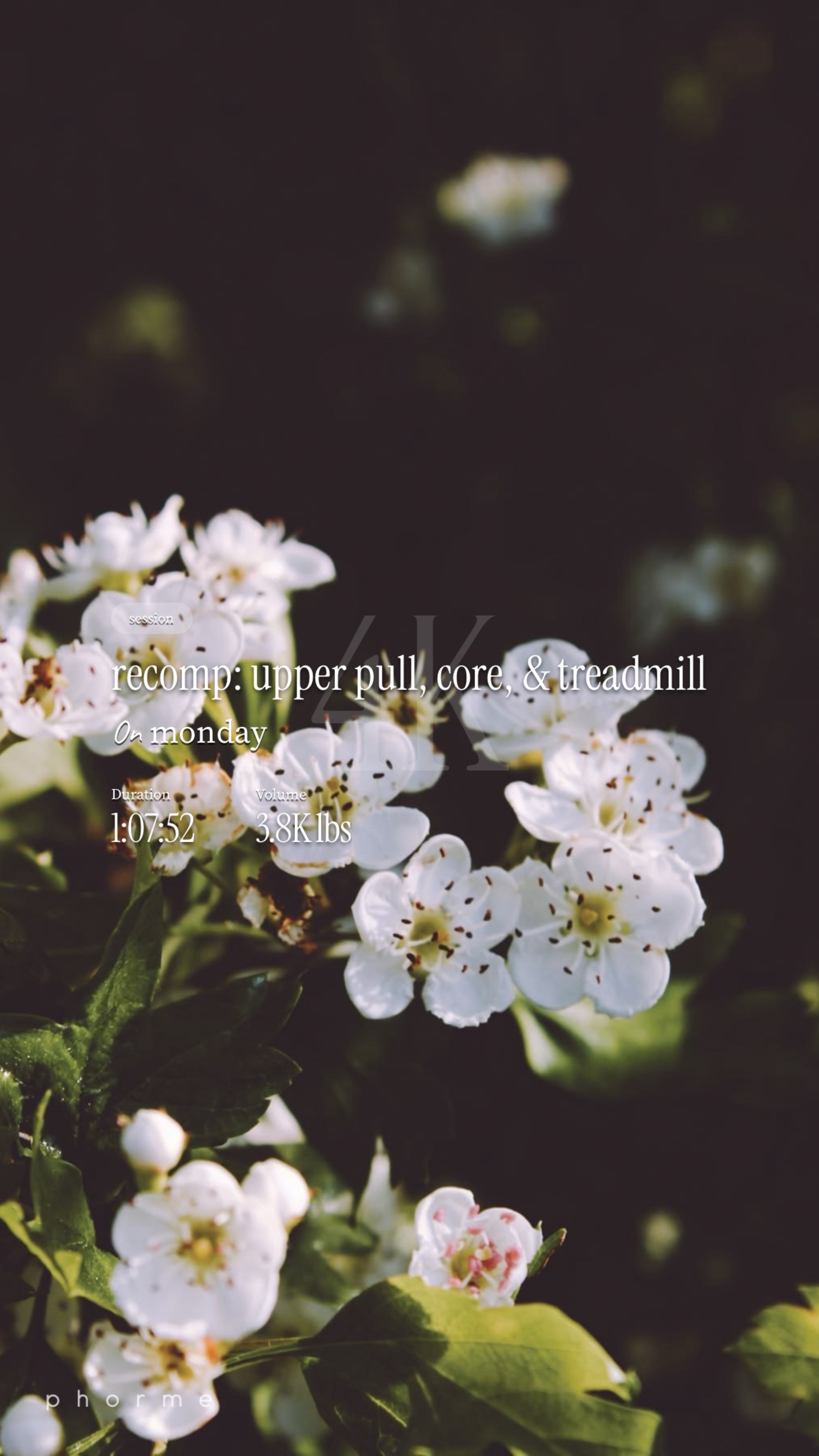 recomp: upper pull, core, & treadmill