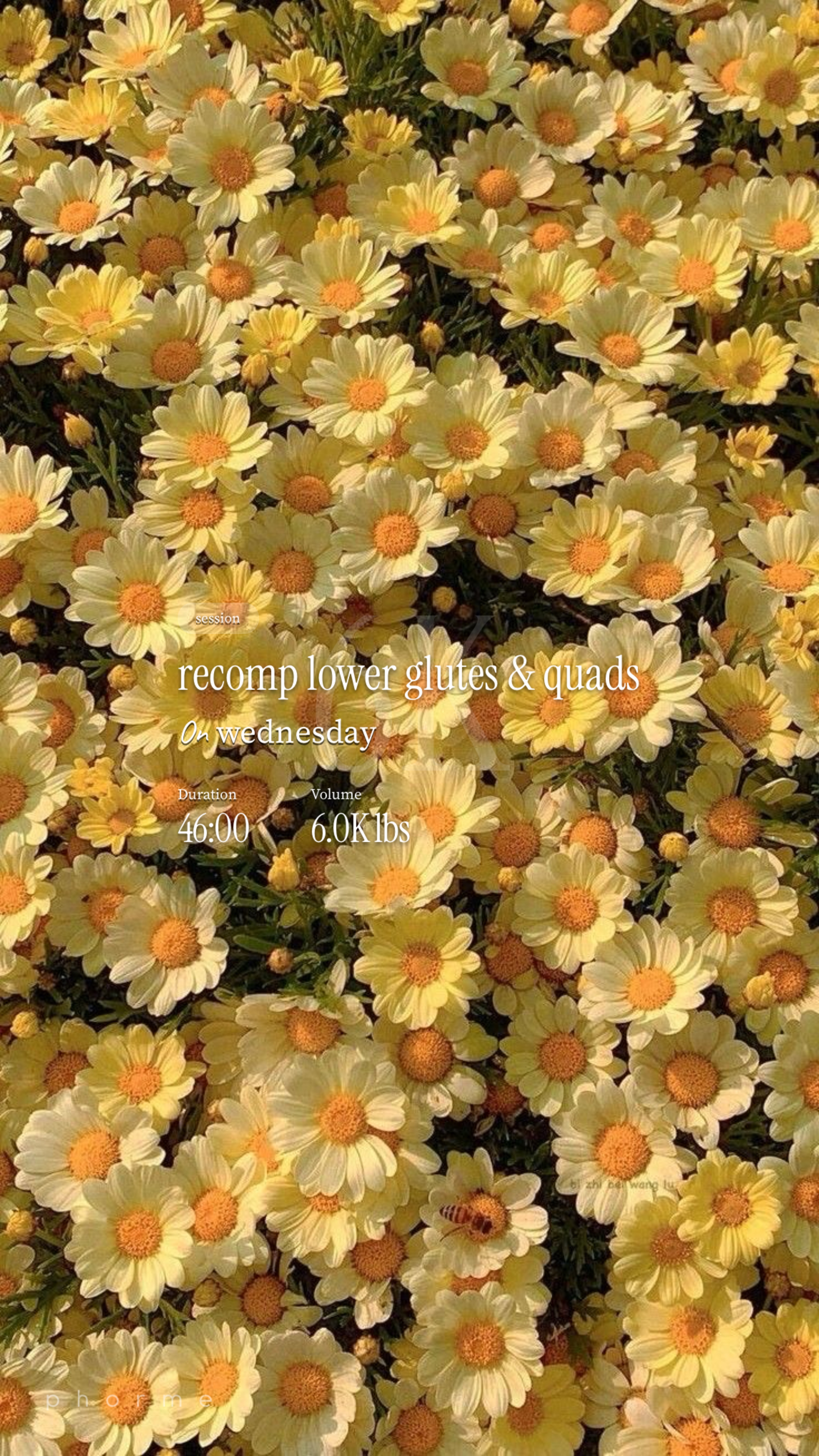 recomp lower glutes & quads