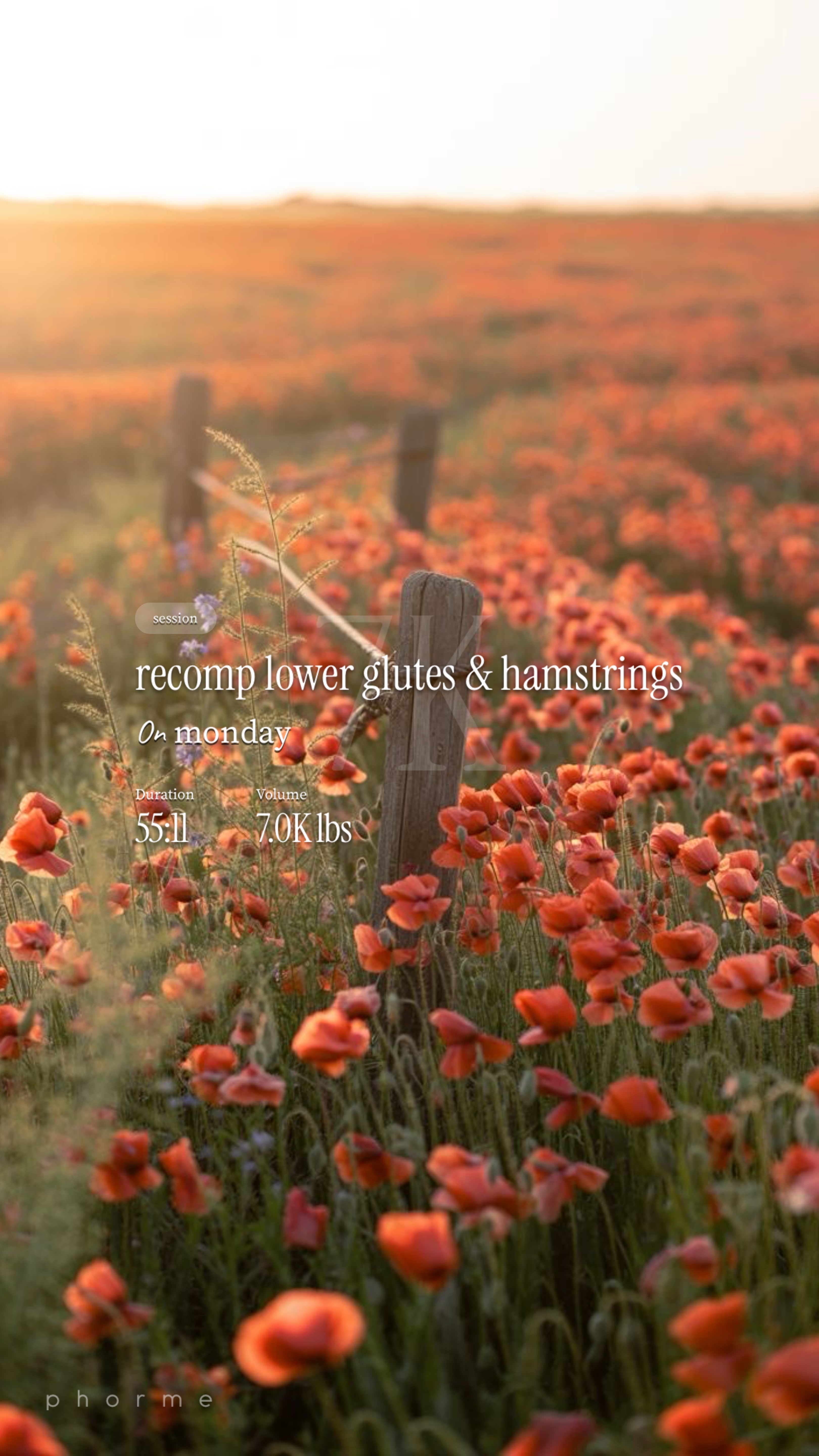 recomp lower glutes & hamstrings