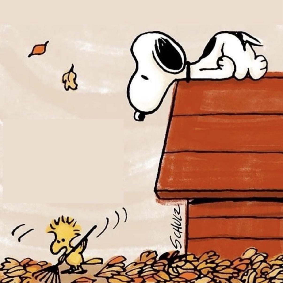 upper body hypertrophy session - 10/5/2025 - Repeat