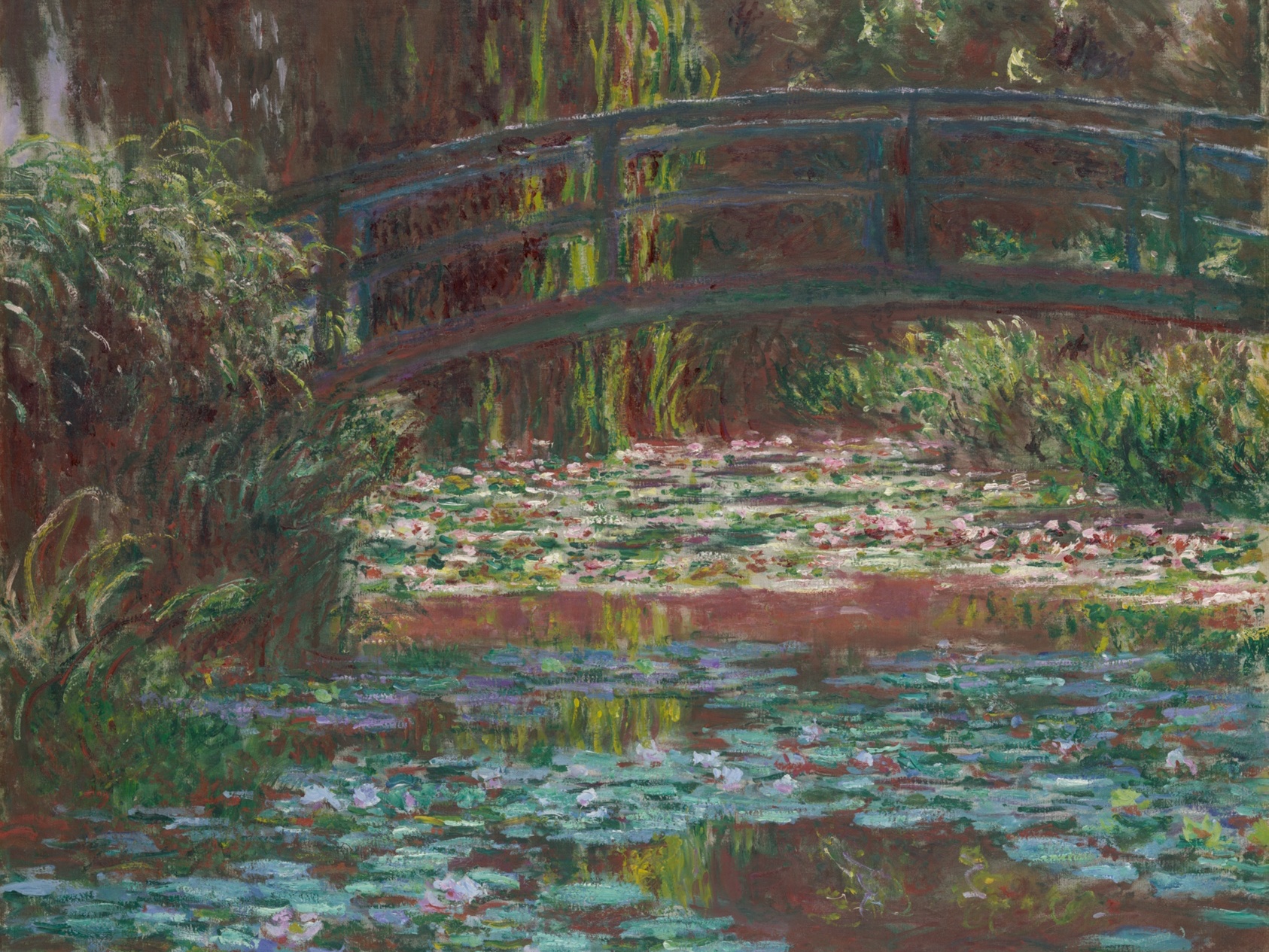 shoulders and delts session - 10/14/2025