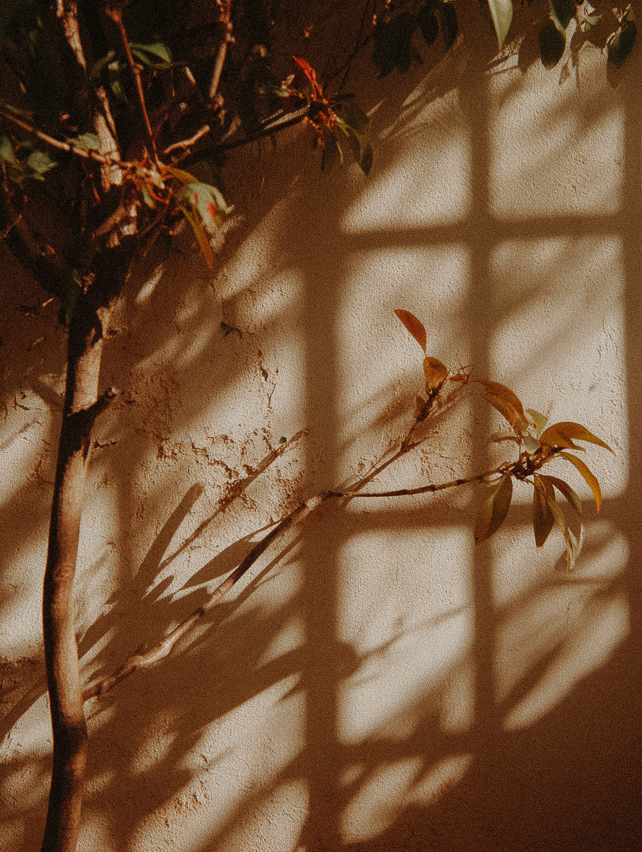 session 4 - upper pull