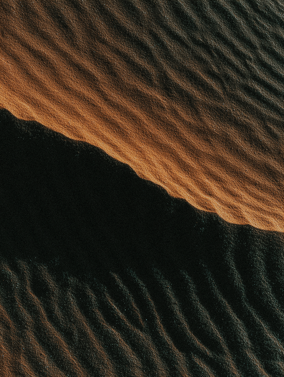 session 5 - full body conditioning