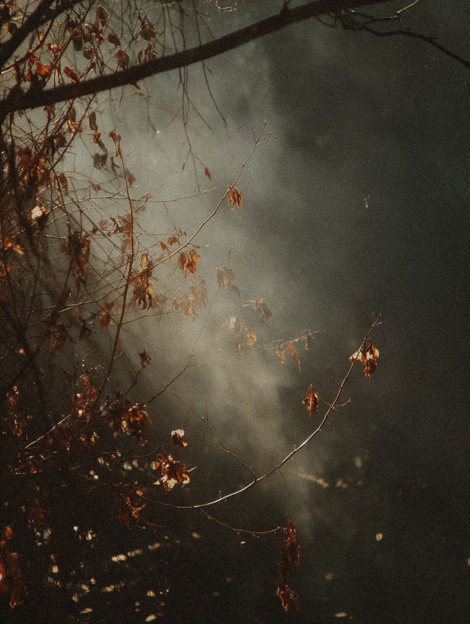 week 1: session 1 — lower strength