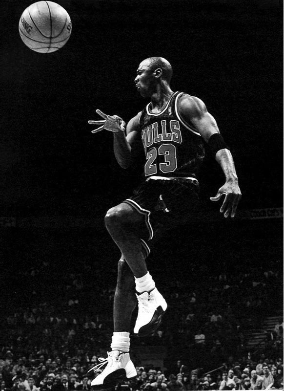 Elasticity & Tendon Stiffness
