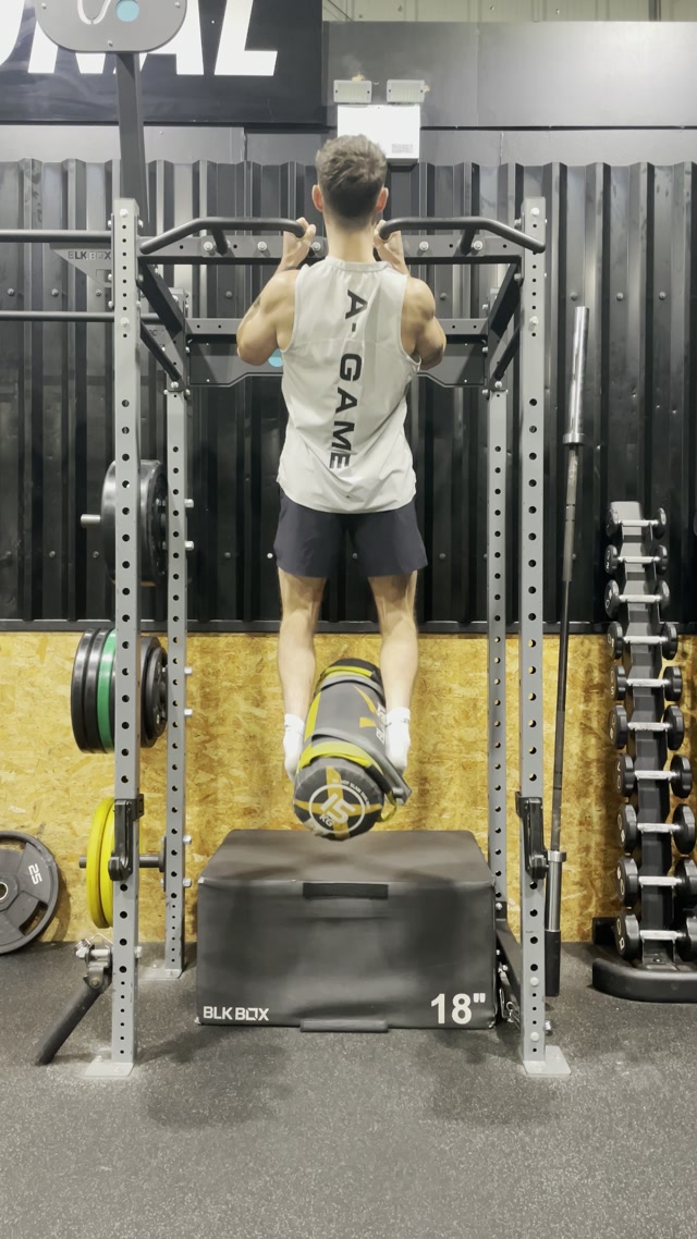 Barbell Back Squat